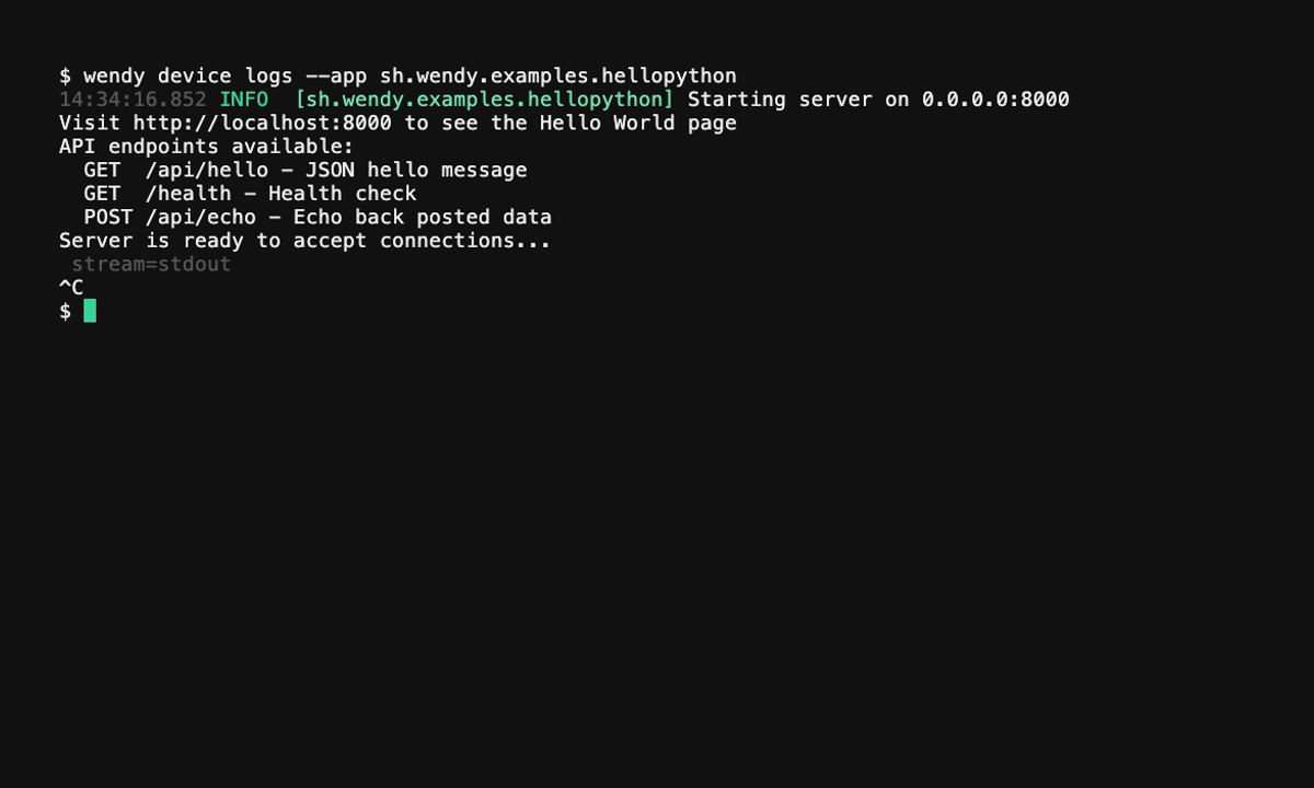 The Wendy CLI streaming logs for a single service of the deployed stack